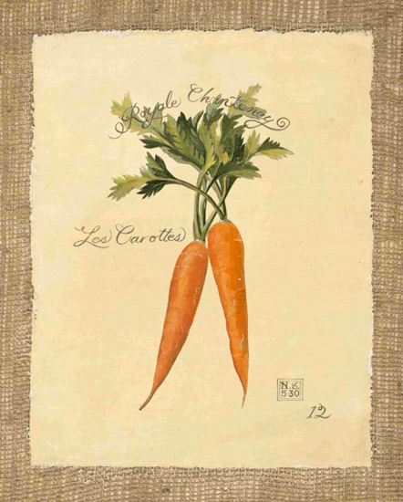 Still Life Jahrriesnge  for carrot-lpf00284 