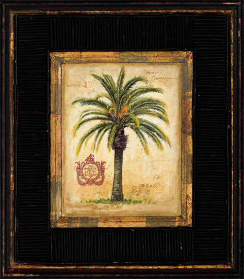 Still Life Jahrriesnge  for coconut-tree-lpf00448 