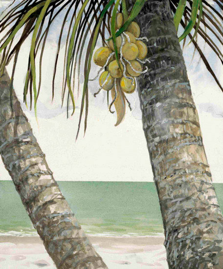 Landscape Jahrriesnge  for coconut-tree-lpf00845 