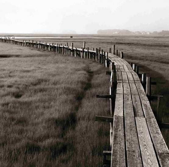 Landscape JAHRRIESNGE  for wooden-bridge-lpf00851 