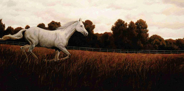 Landscape Jahrriesnge  for white-horse-lpf00885 