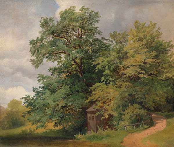 Landscape JAHRRIESNGE  for tree-lpf01409 