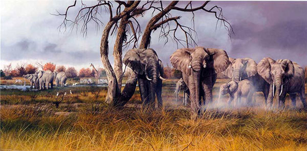 Animals Jahrriesnge  for elephant-lpf02531 