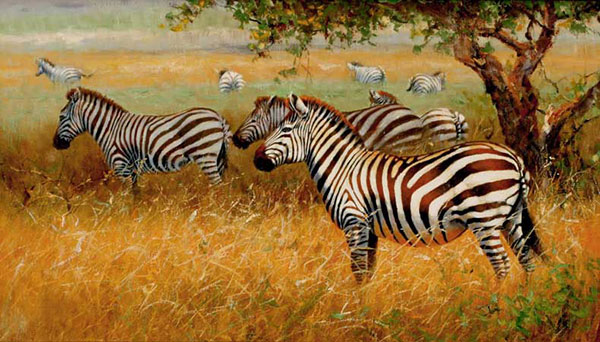 Animals Jahrriesnge  for zebra-lpf02555 