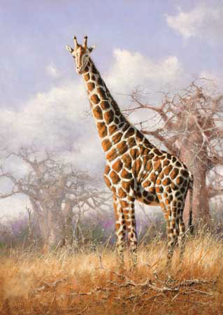 Animals Jahrriesnge  for giraffe-lpf02571 