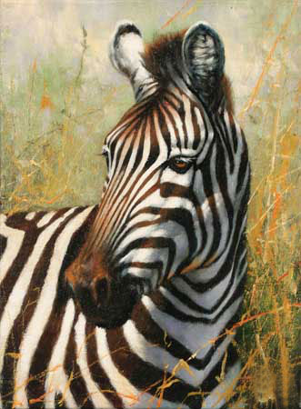 Animals Jahrriesnge  for zebra-lpf02572 