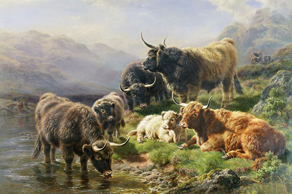 Animals Jahrriesnge  for yak-lpf02600 