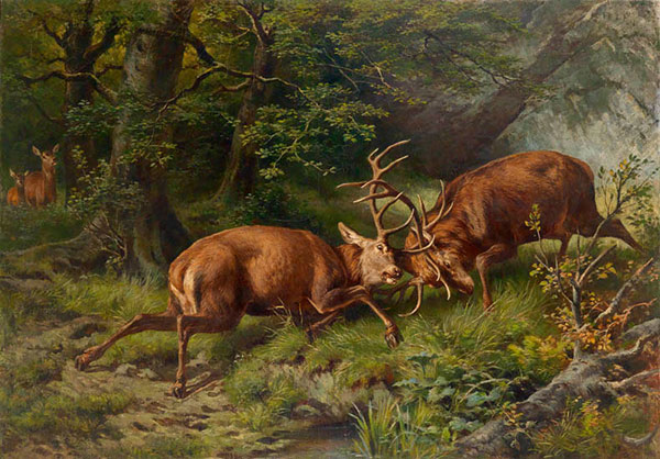 Animals Jahrriesnge  for elk-lpf02653 