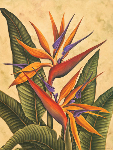 Floral Jahrriesnge  for bird of paradise flower lpf04605 