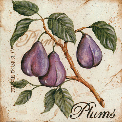 Floral JAHRRIESNGE  for plums lpf05600 