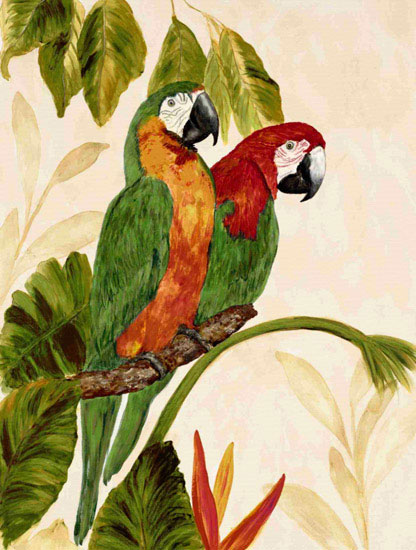 Animals Jahrriesnge  for macaw lpf10598 