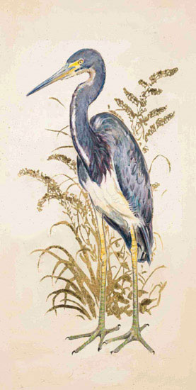 Animals Jahrriesnge  for tricolor heron lpf10634 