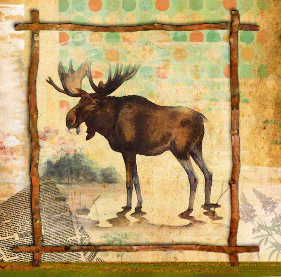 Animals Jahrriesnge  for moose lpf10640 