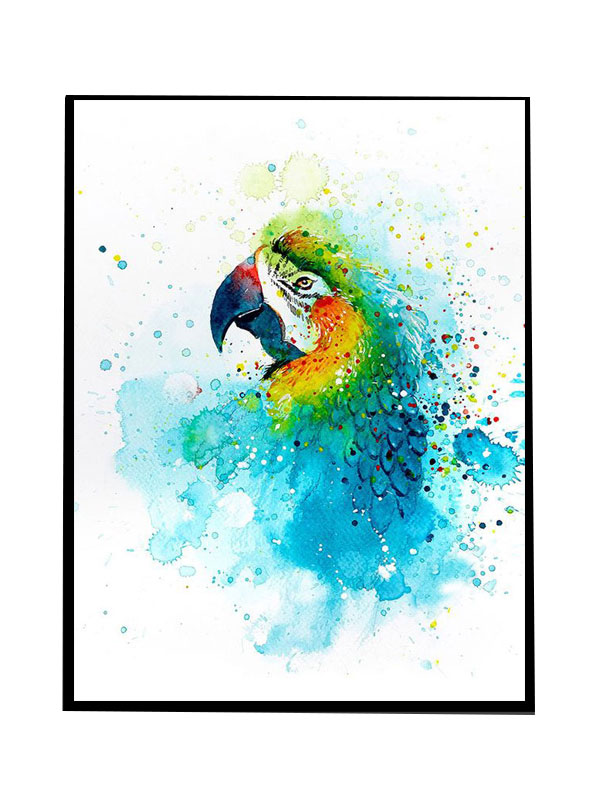 Animals Jahrriesnge  for parrot-lpg1558 