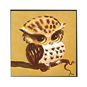 Animals Jahrriesnge  for owl-lpg1568 