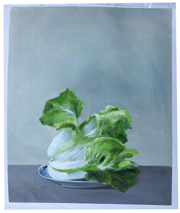 Still Life Jahrriesnge  for cabbage-lpg1725 